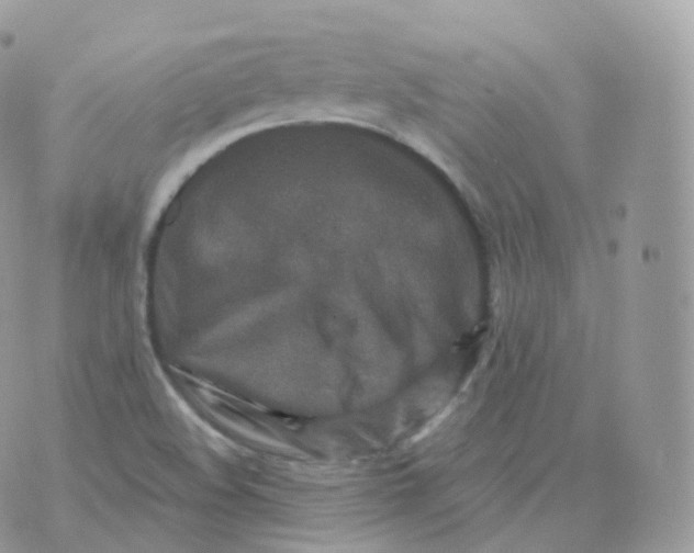 X0000070421508200606302048