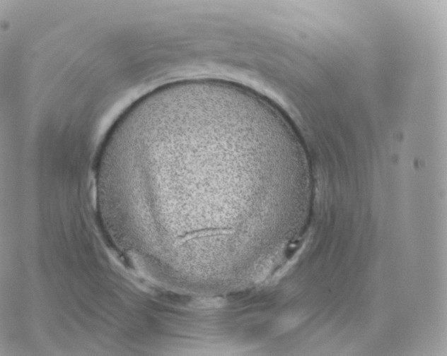 X0000070421509200606302048