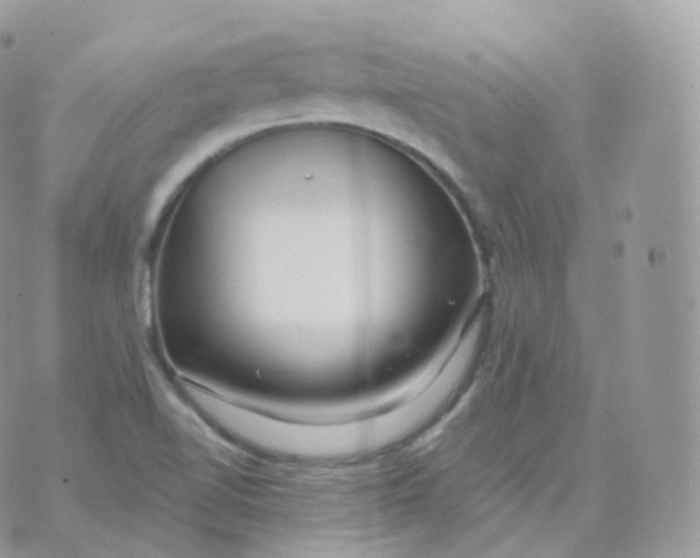 X0000070421510200606302048