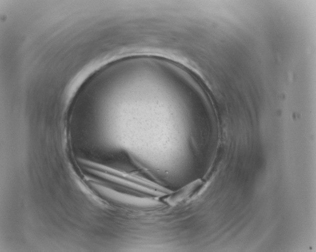 X0000070421511200606302048