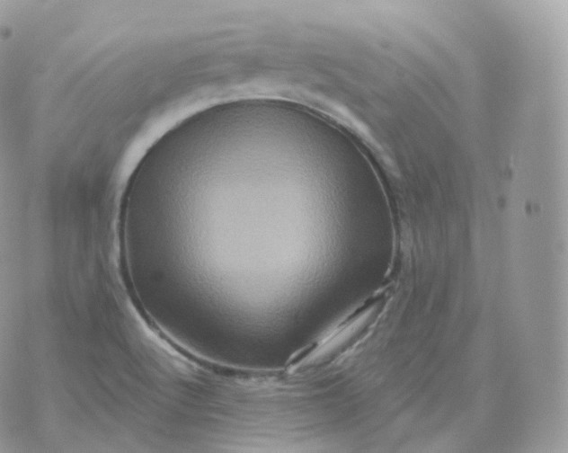 X0000070421512200606302048