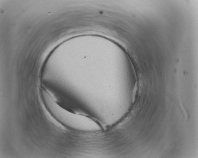 X0000070421518200606302048