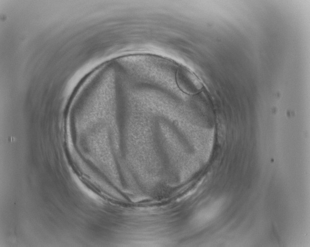 X0000070421519200606302048