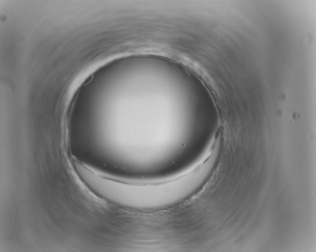 X0000070421520200606302048