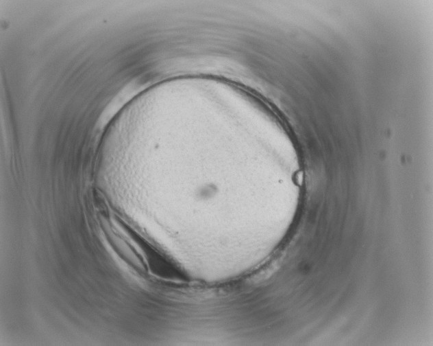 X0000070421521200606302048