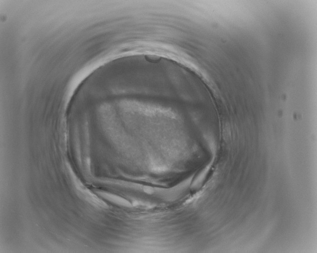 X0000070421522200606302048