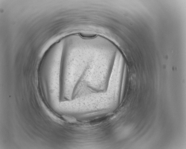 X0000070421523200606302048