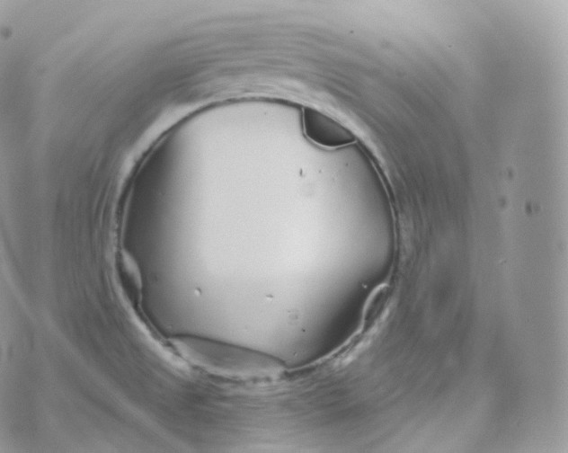 X0000070421525200606302048