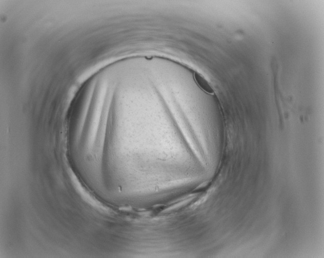 X0000070421526200606302048