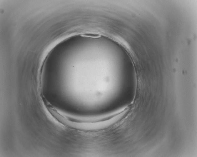 X0000070421528200606302048