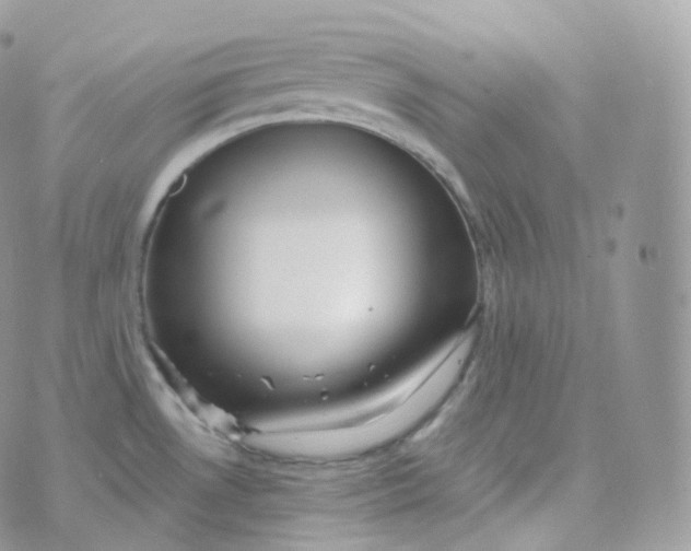 X0000070421530200606302048