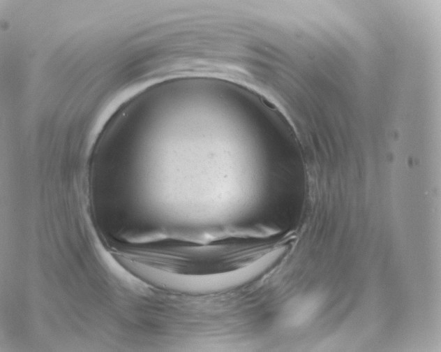 X0000070421531200606302048