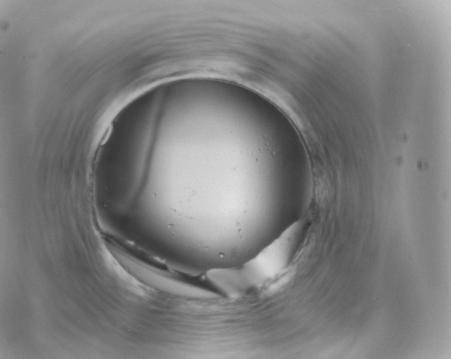 X0000070421532200606302048