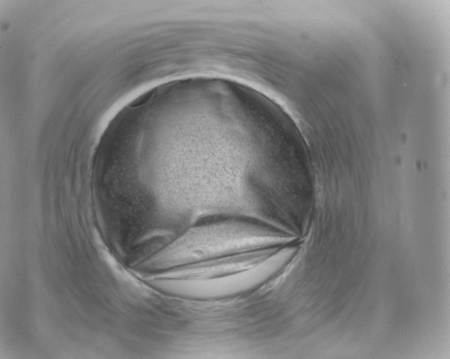 X0000070421534200606302048