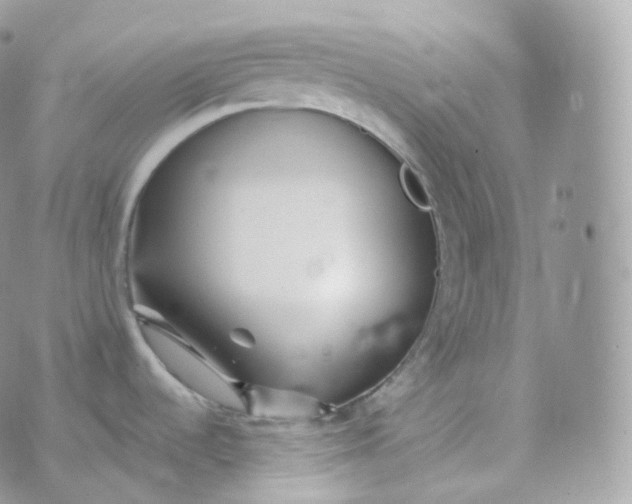 X0000070421536200606302049