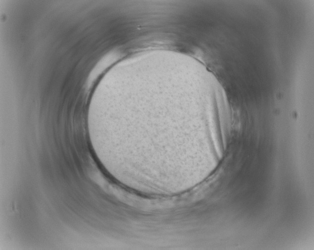 X0000070420004200607072346