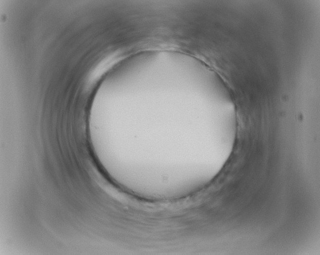 X0000070420005200607072346