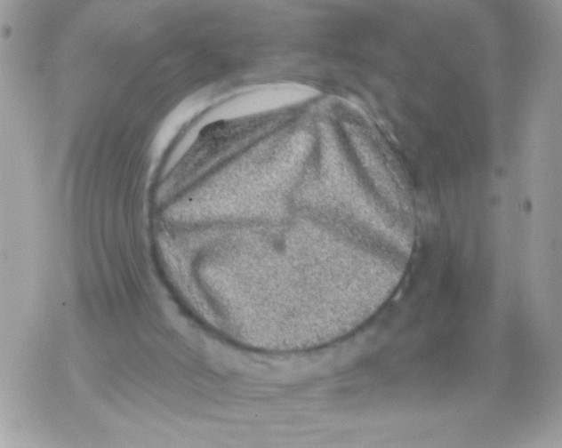 X0000070420006200607072346