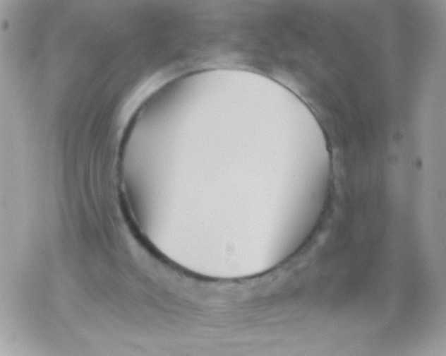 X0000070420007200607072346