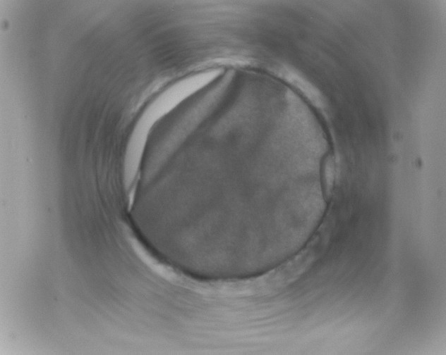 X0000070420009200607072346