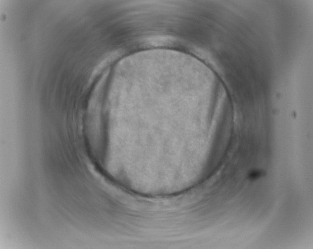 X0000070420010200607072346