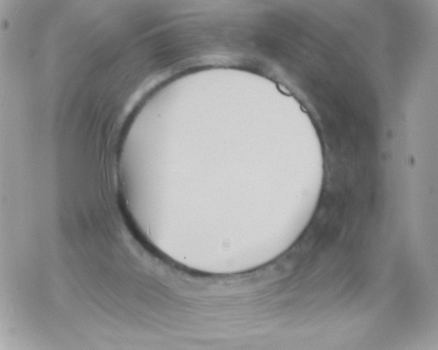 X0000070420011200607072346