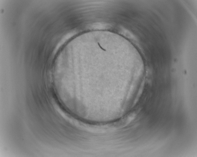 X0000070420012200607072346