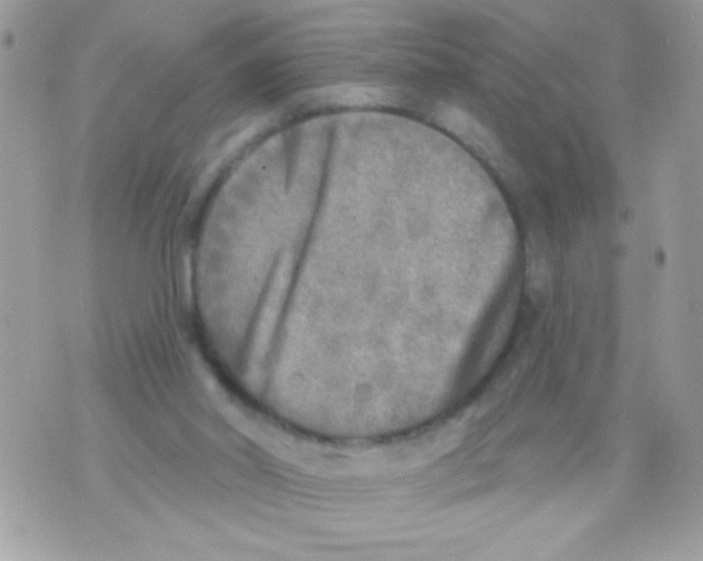 X0000070420014200607072346