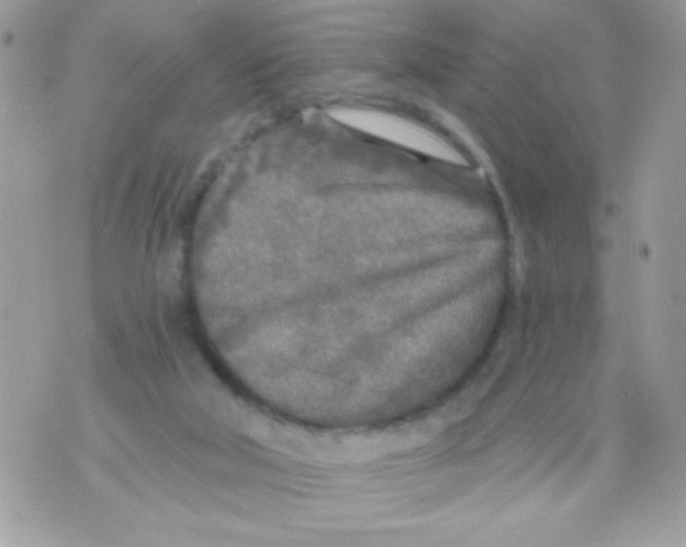 X0000070420018200607072346