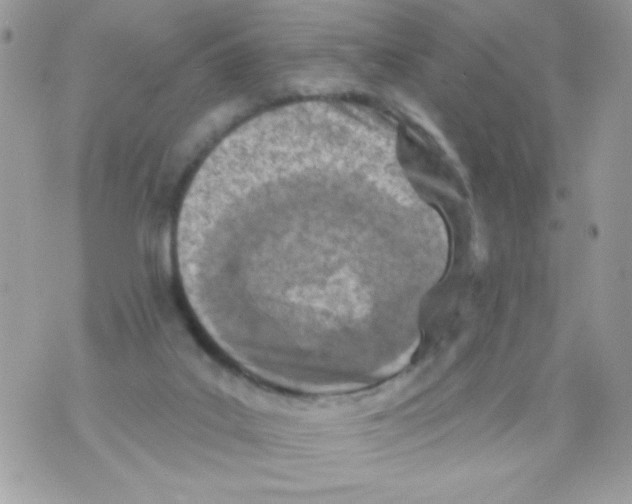 X0000070420019200607072346