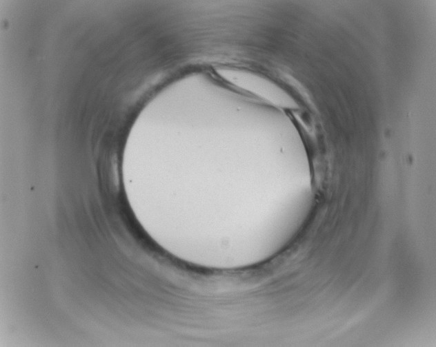 X0000070420020200607072346