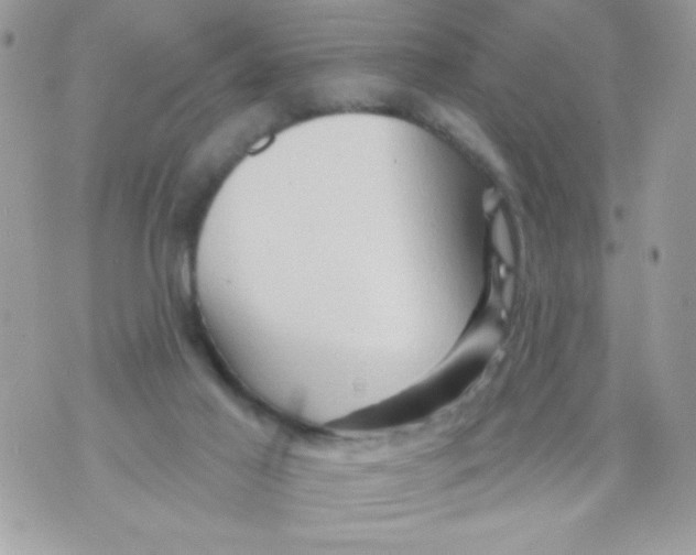 X0000070420021200607072346