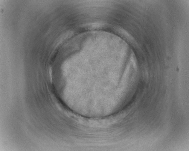 X0000070420022200607072346