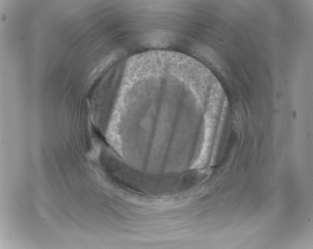 X0000070420023200607072346