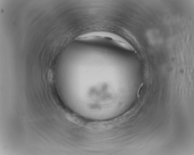 X0000070420025200607072345