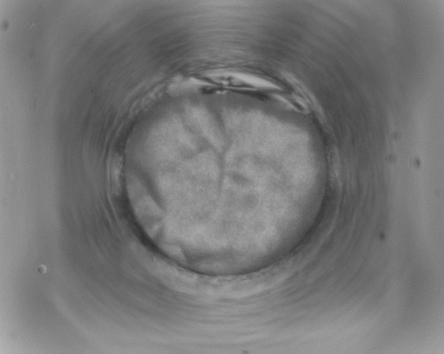 X0000070420026200607072345