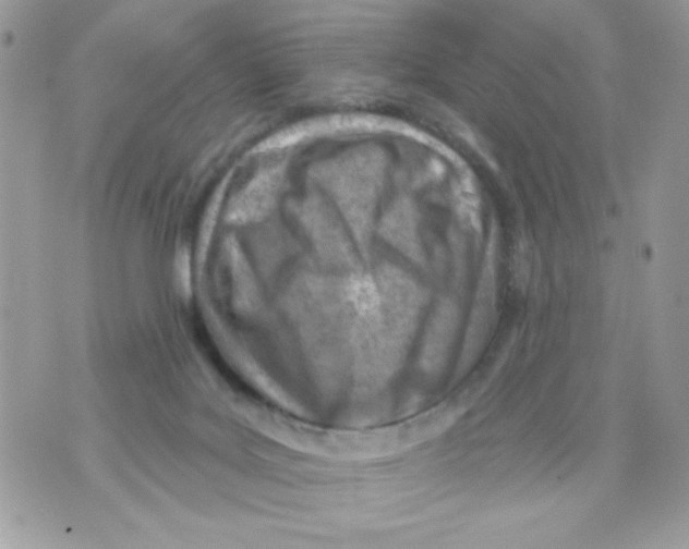 X0000070420027200607072345