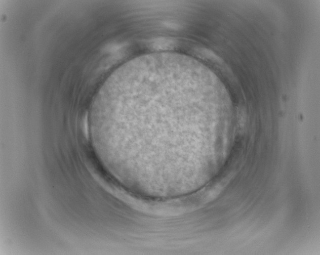 X0000070420028200607072345