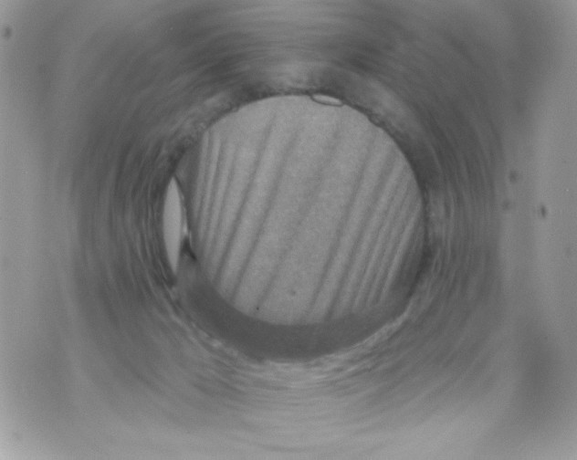 X0000070420029200607072345