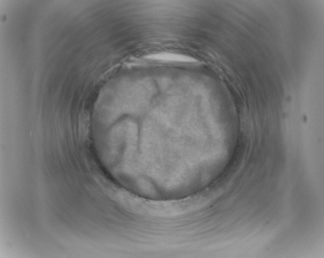 X0000070420030200607072345