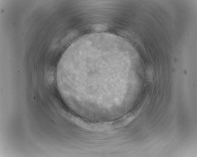 X0000070420032200607072345