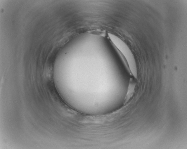 X0000070420033200607072345