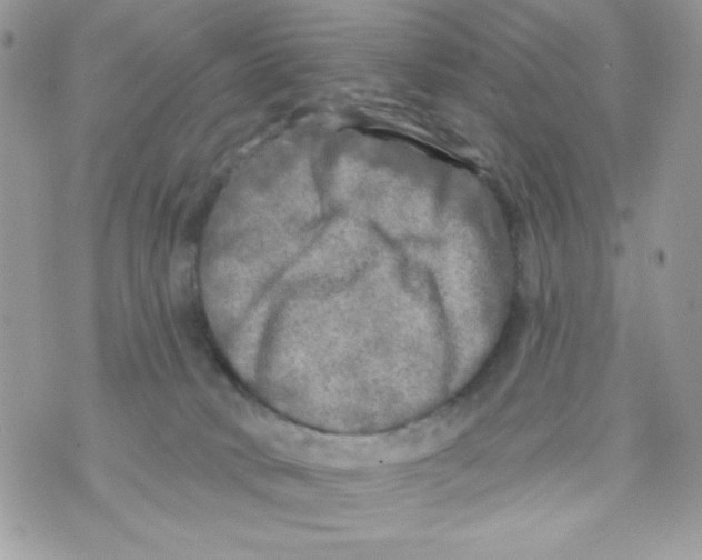 X0000070420034200607072345