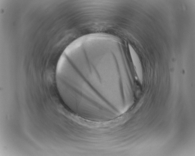 X0000070420035200607072345