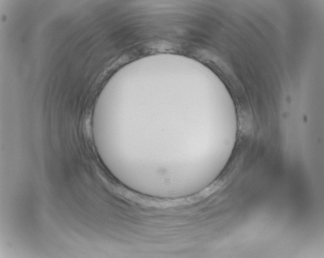 X0000070420036200607072345