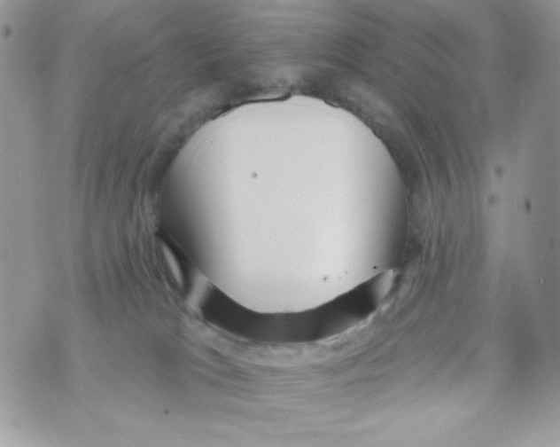 X0000070420037200607072345