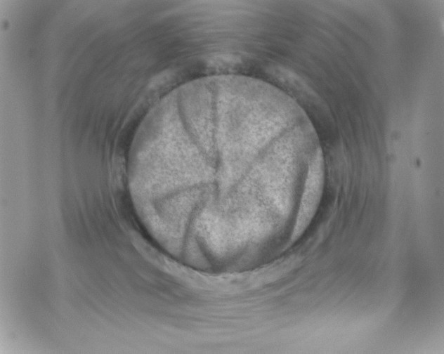 X0000070420038200607072345