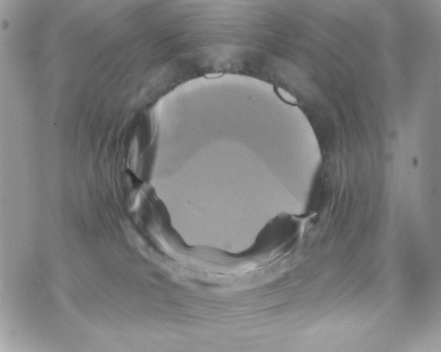 X0000070420039200607072345