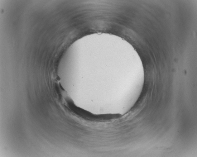 X0000070420040200607072345