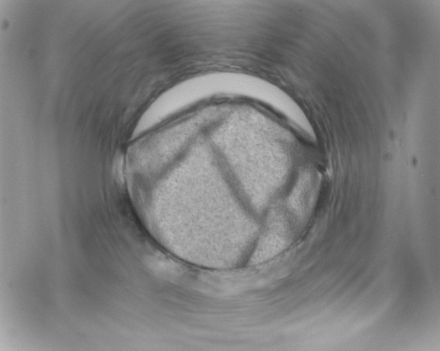 X0000070420041200607072345